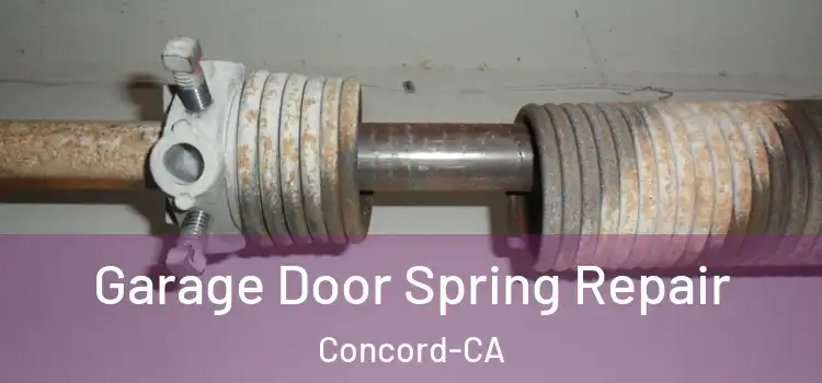  Garage Door Spring Repair Concord-CA